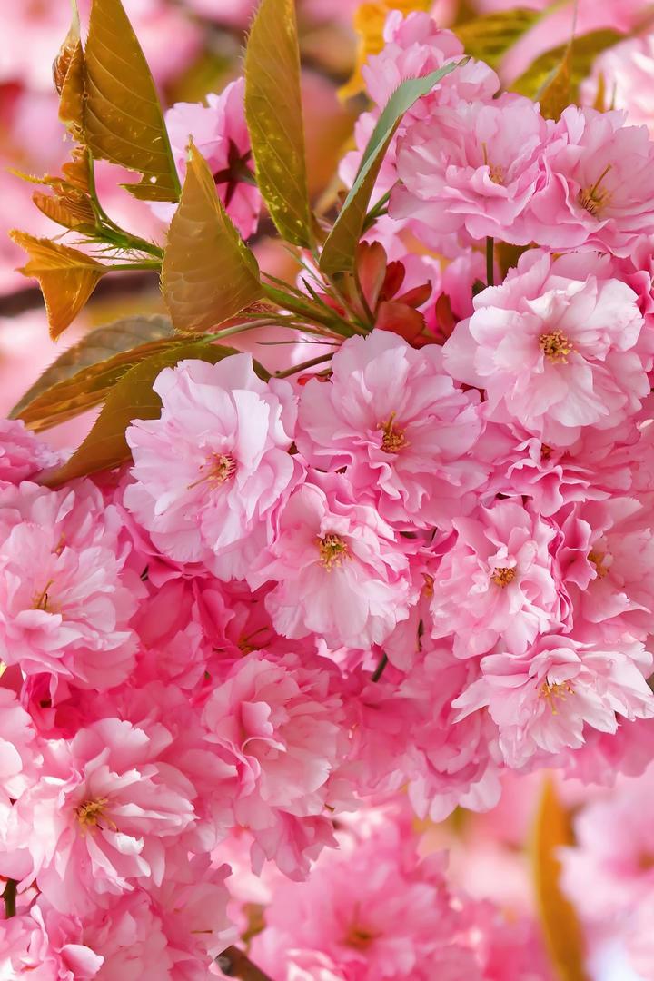 这场晒图笔记大赛饶有趣味，能让大家分享生活中的点点滴滴。就拿年末这个时段来说，社