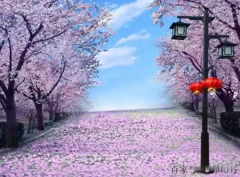 人间四月天
制怒王子/原创

那一缕是过往
那一丝是今天
风吹草动渐渐远
日升傍