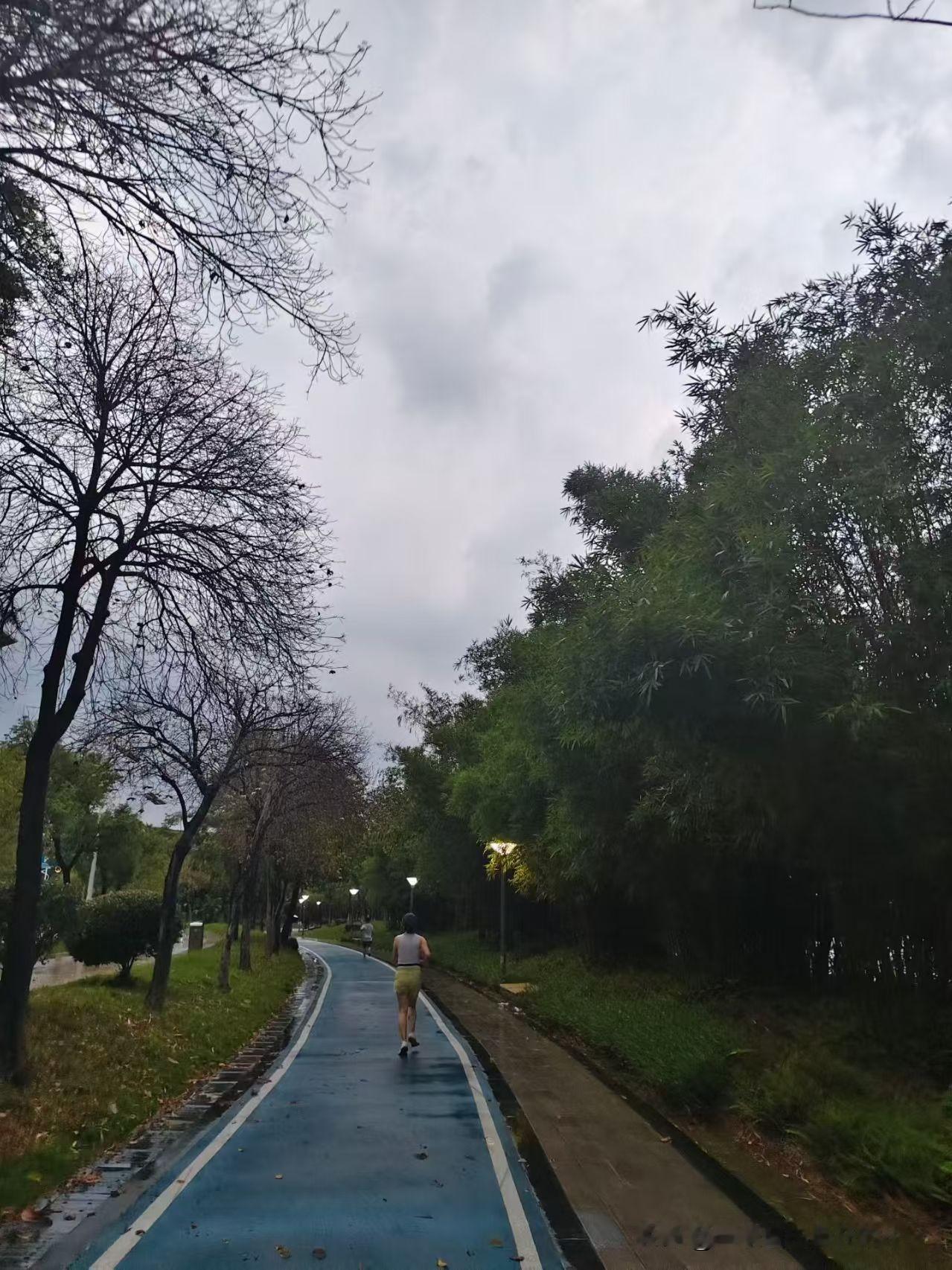 傍晚出门到路边散步，晚风一吹，褪去白日残留的燥热，秋天的氛围感扑面而来。沿路慢慢