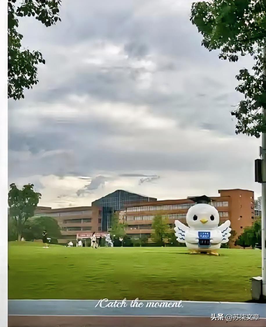 顶不住了！
宁波大学留学生专属招聘会一事，
迫于舆论压力，事情发酵后校方给出的解