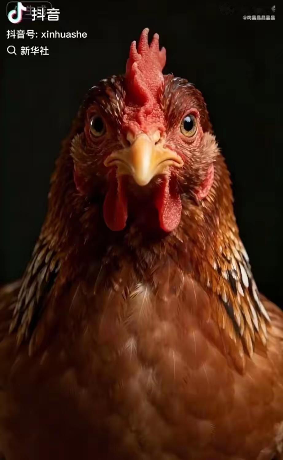 能联系一起吗？