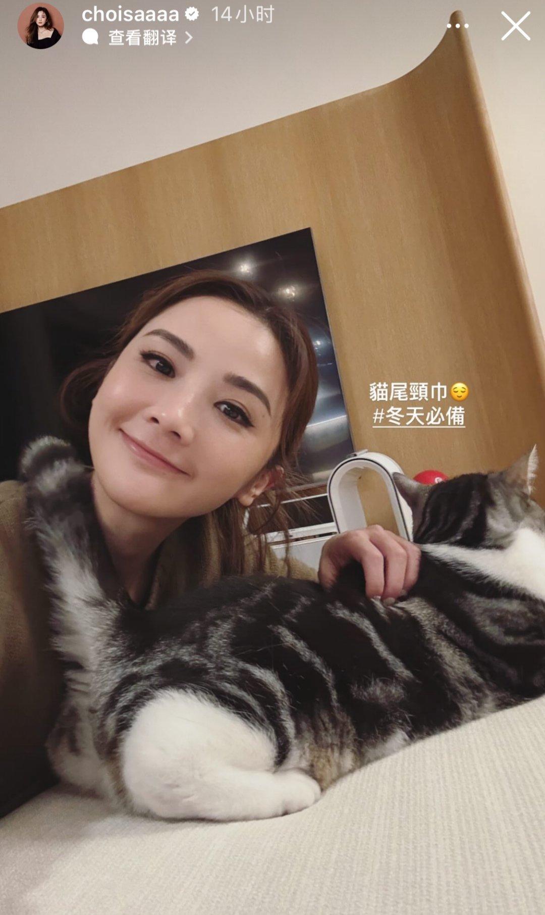 蔡卓妍晒猫，她猫好肥[笑cry] 