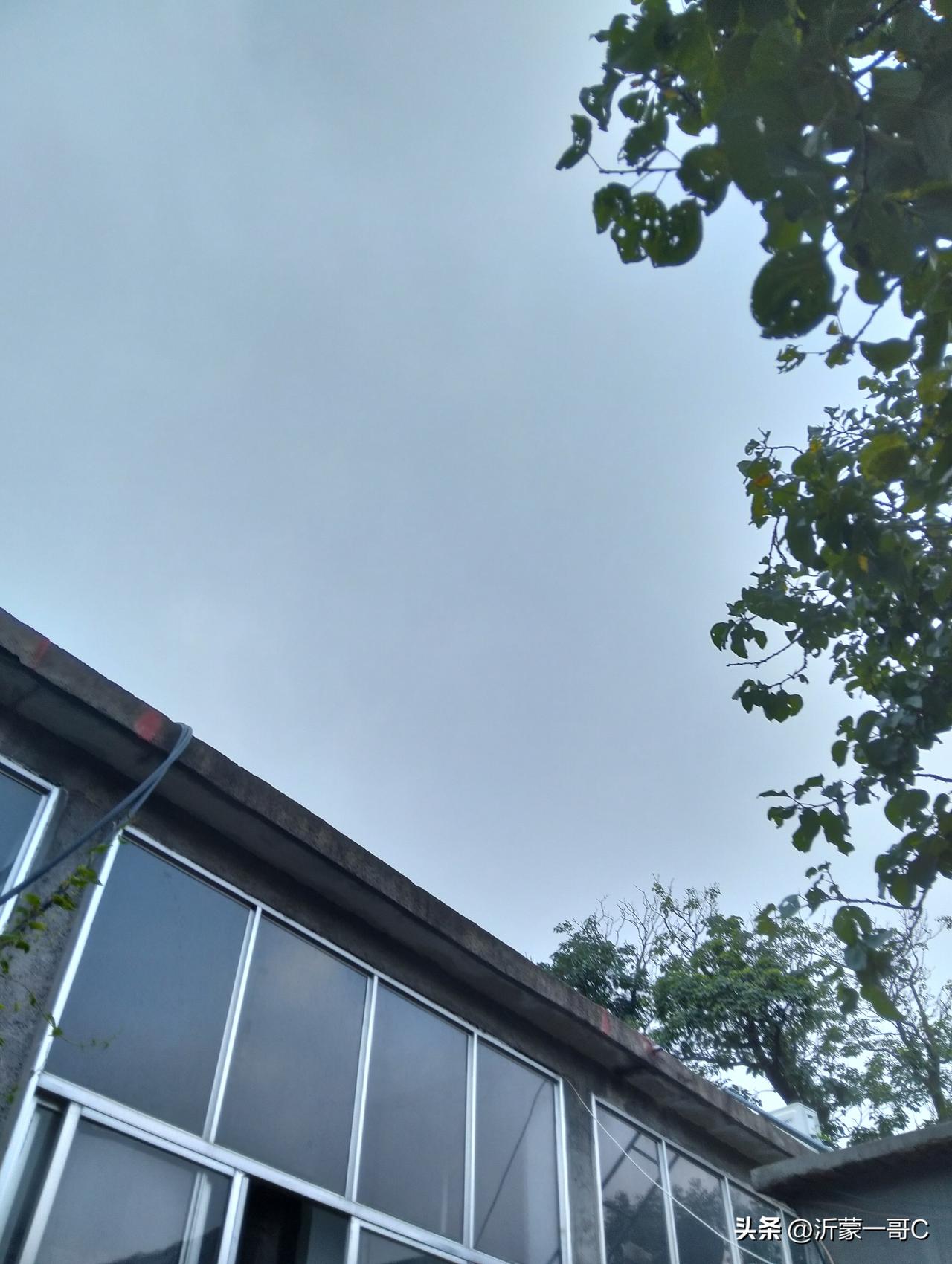 今天8月10日，天气预报有中雨，看天气阴的很好了，马上就要下雨了！