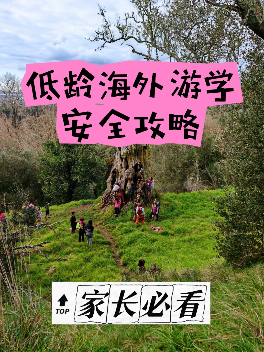 低龄海外游学安全攻略，家长必看！