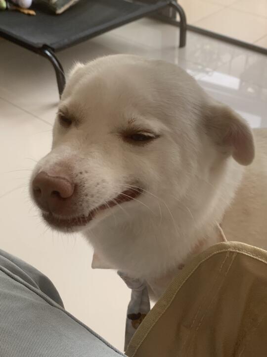 微笑面对生活中的每一个拳头👊