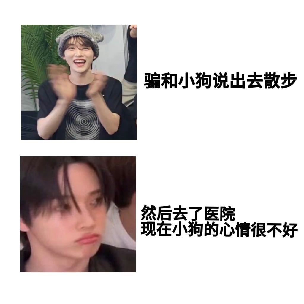 【🪑】但是狗狗我啊，真心觉得你能当我主人实在是太好了 