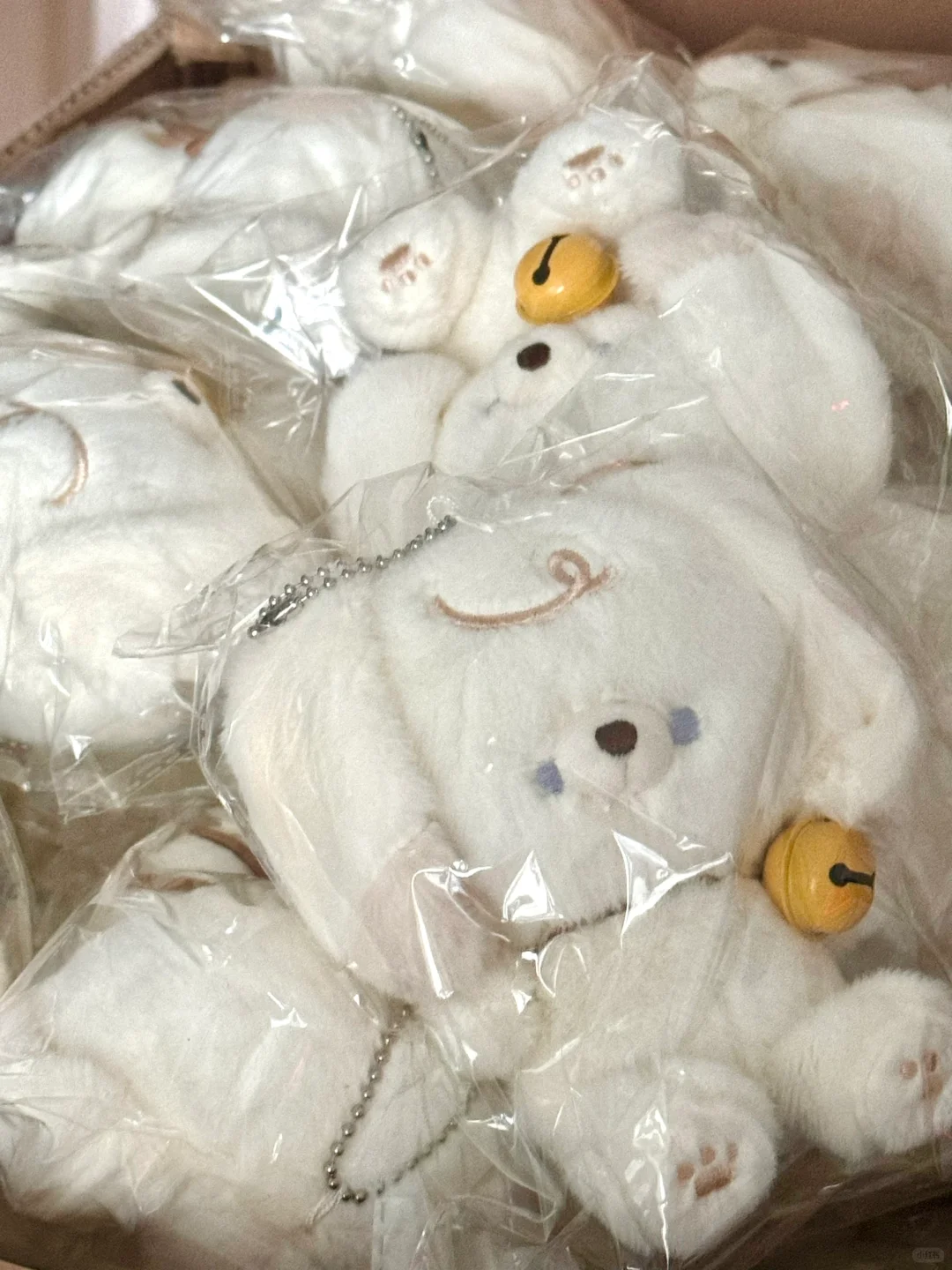 找到一箱坐姿小狗🐶