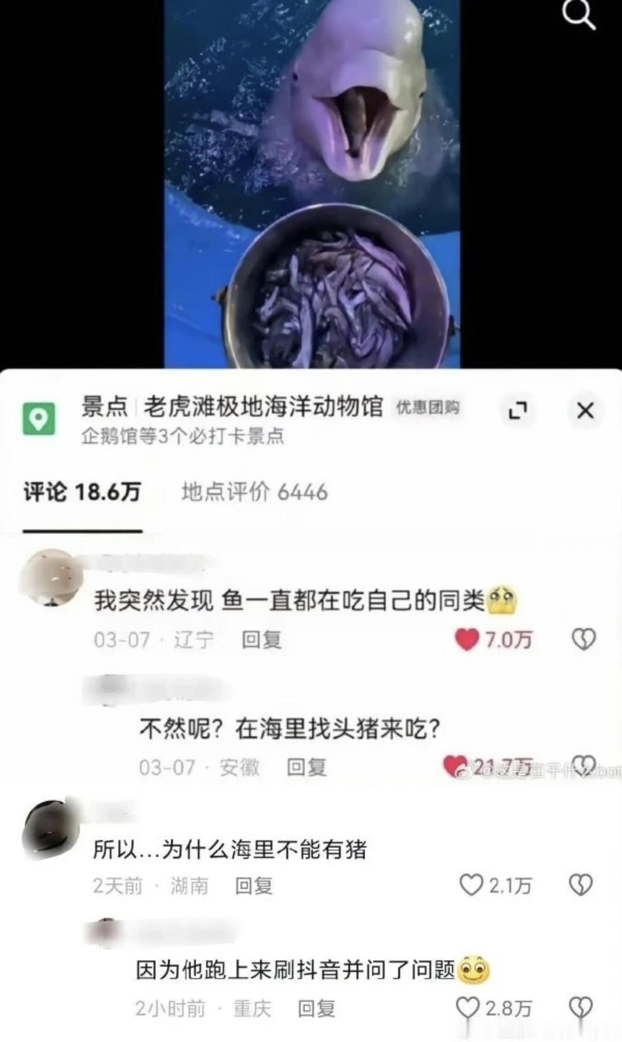 海豚:鱼也不是我同类啊