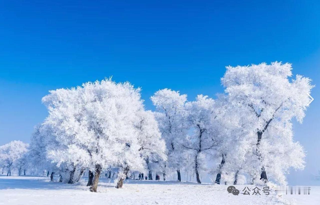 雾凇
九州冷气聚寒冬，
四野凝华诞雾凇。
但见瑶池珠玉扮，
又观仙子美姿容。