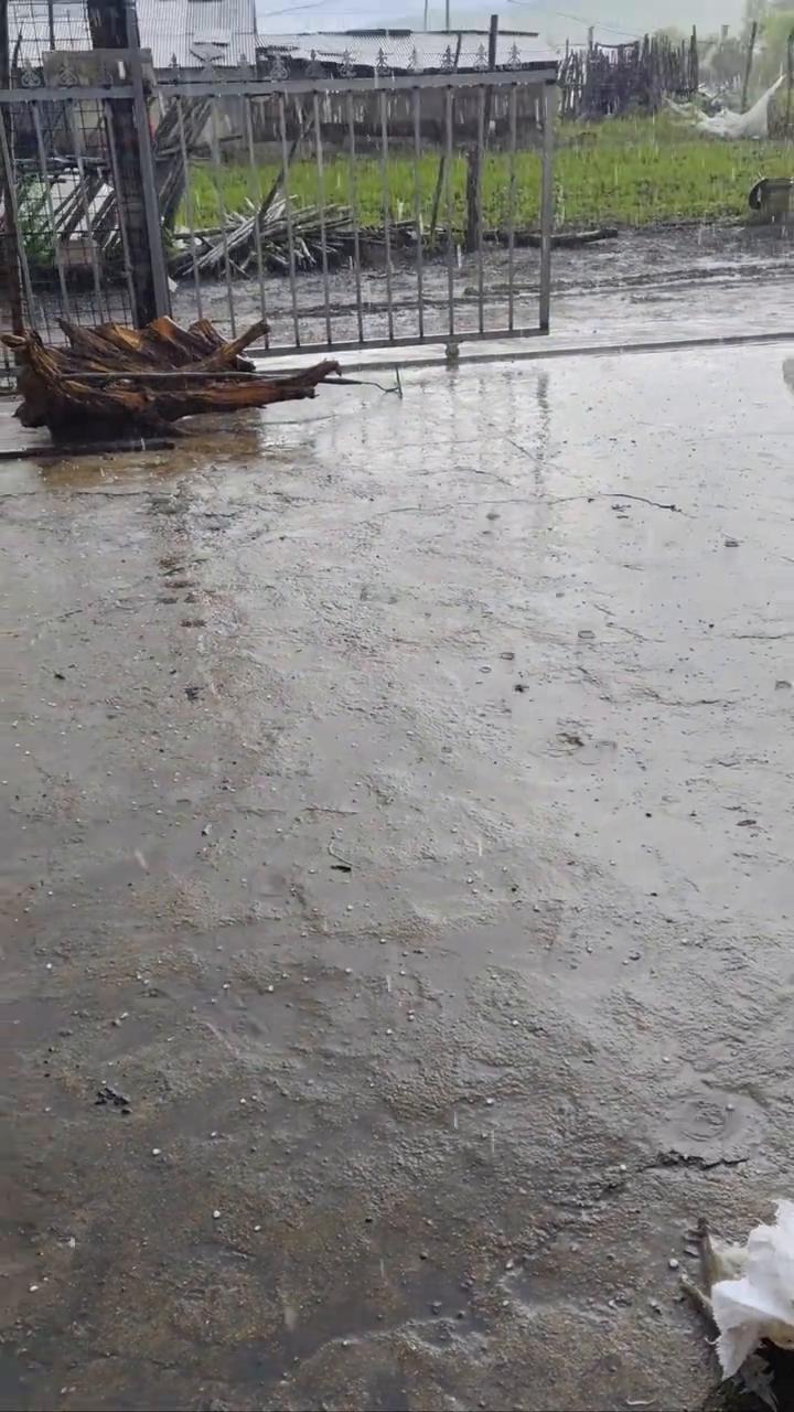 下的多阴，越不下雨了，这下起来就没个完了。今天下了好几天，这刚停了一天又下起来了