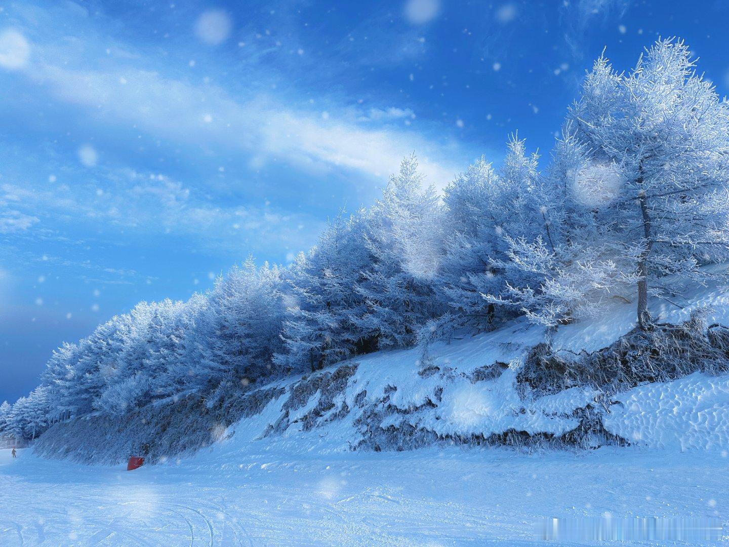 北京下雪啦，出发去滑雪咯！ ❄️⛷️北京公园下雪了全网征集2026最美雪景图你拍