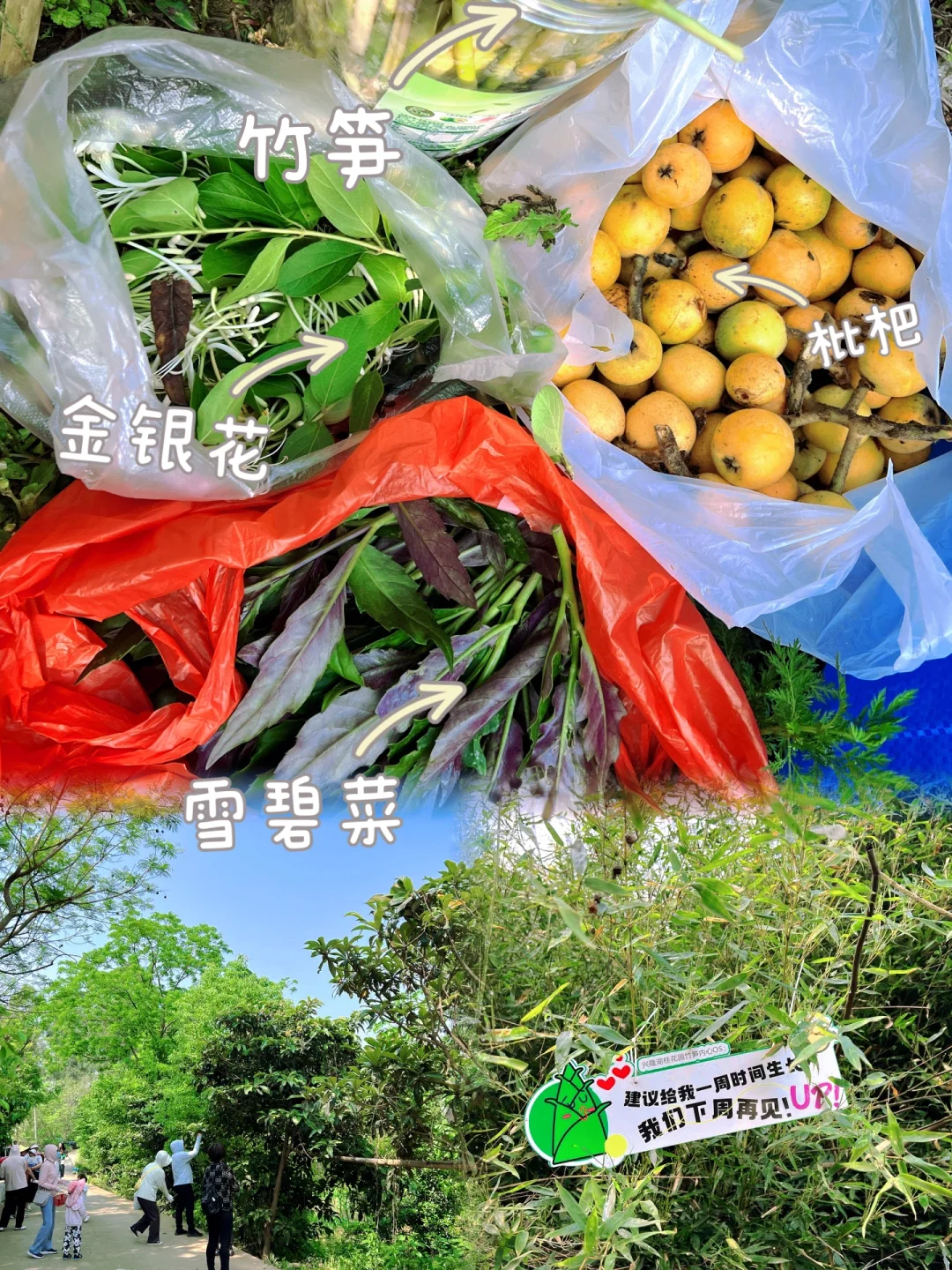天府新区的野货也太多了吧‼️根本弄不完