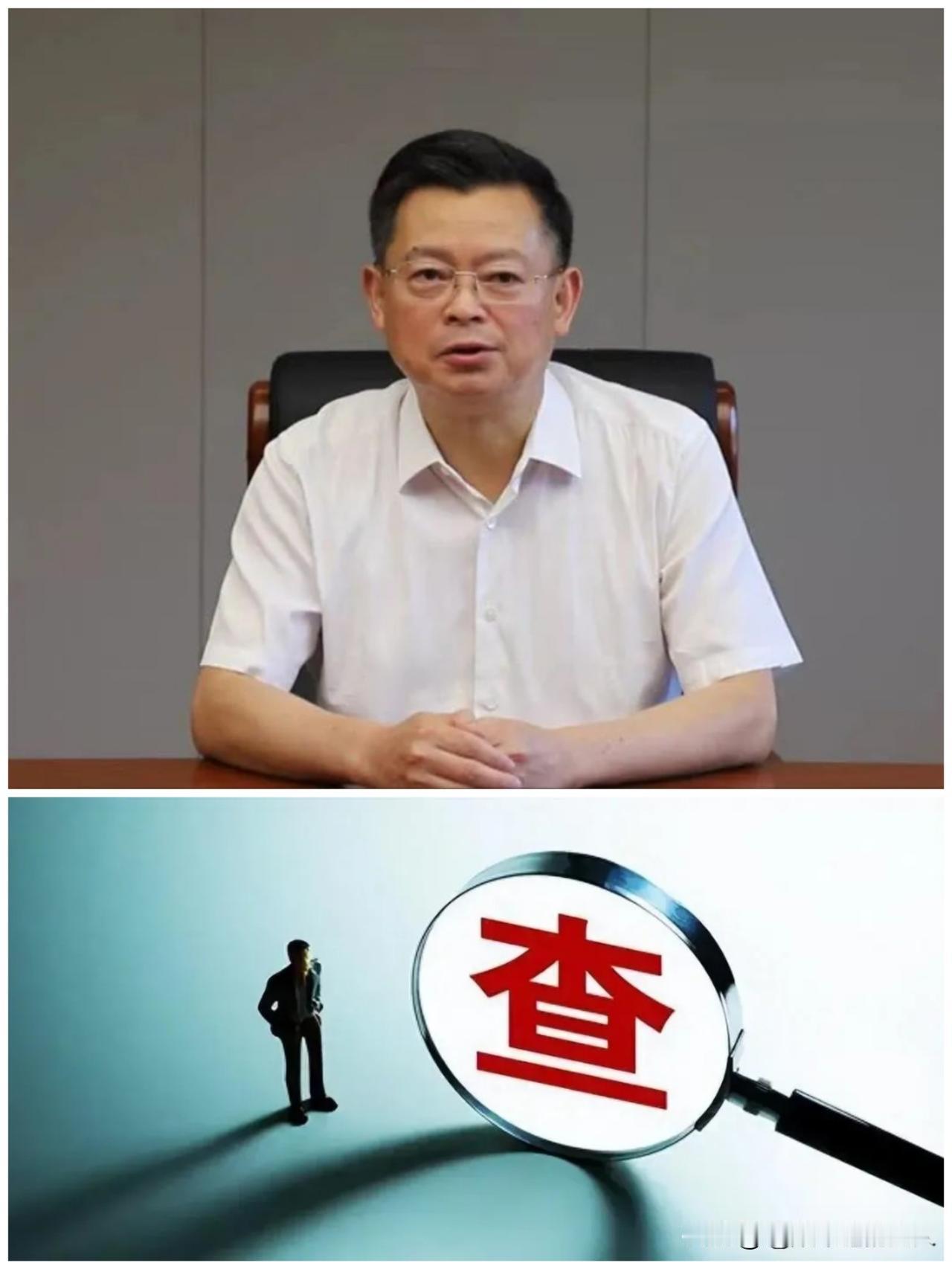 ……在我看来，“军工虎”张建华就是用“自首”这张牌换来了一个相对体面的结局，因为
