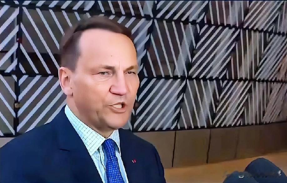 12月8日早上的最新消息，现在他来了，第六条：跨国舆论战：马斯克喊废欧盟遭波兰外