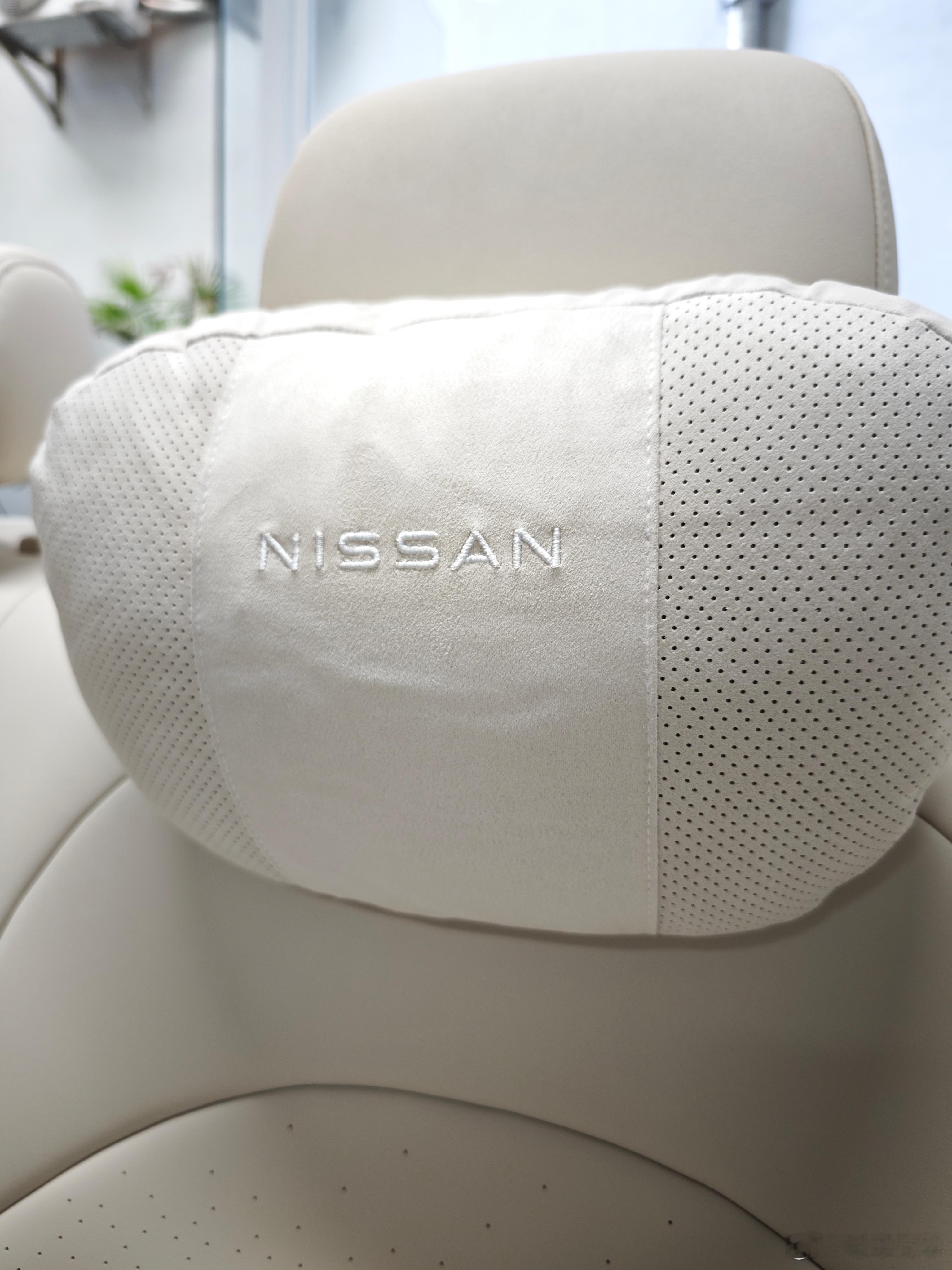 上两周拍游记开了十天车，导致我这个老腰直接成非物质文化遗产了么...今天回来开会