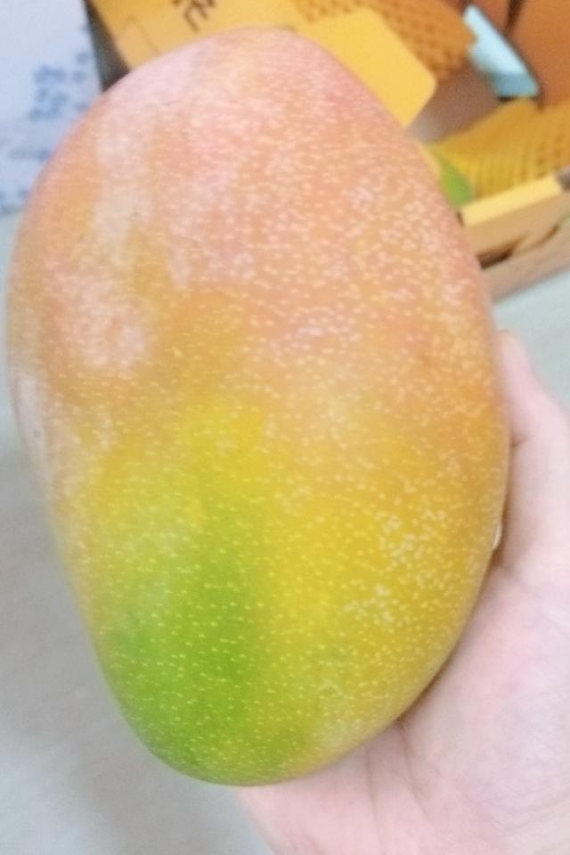 一个人吃凯特芒简直是受罪，
刚吃感觉特别甜，
吃到最后真的想吐，
实在吃不完就丢