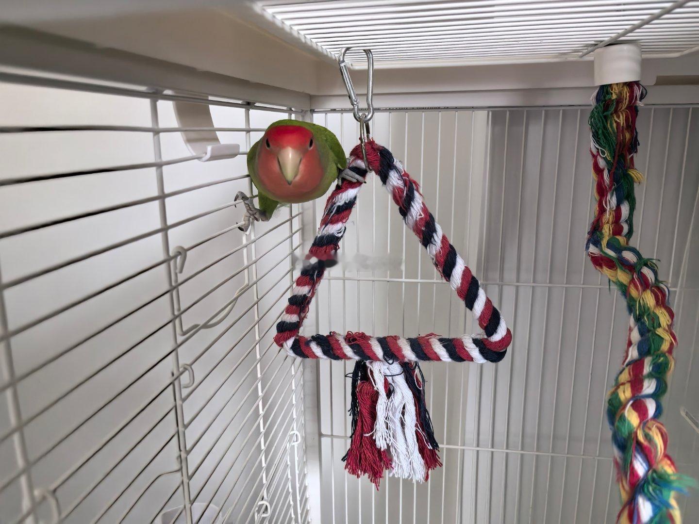 还会劈叉 ​​​