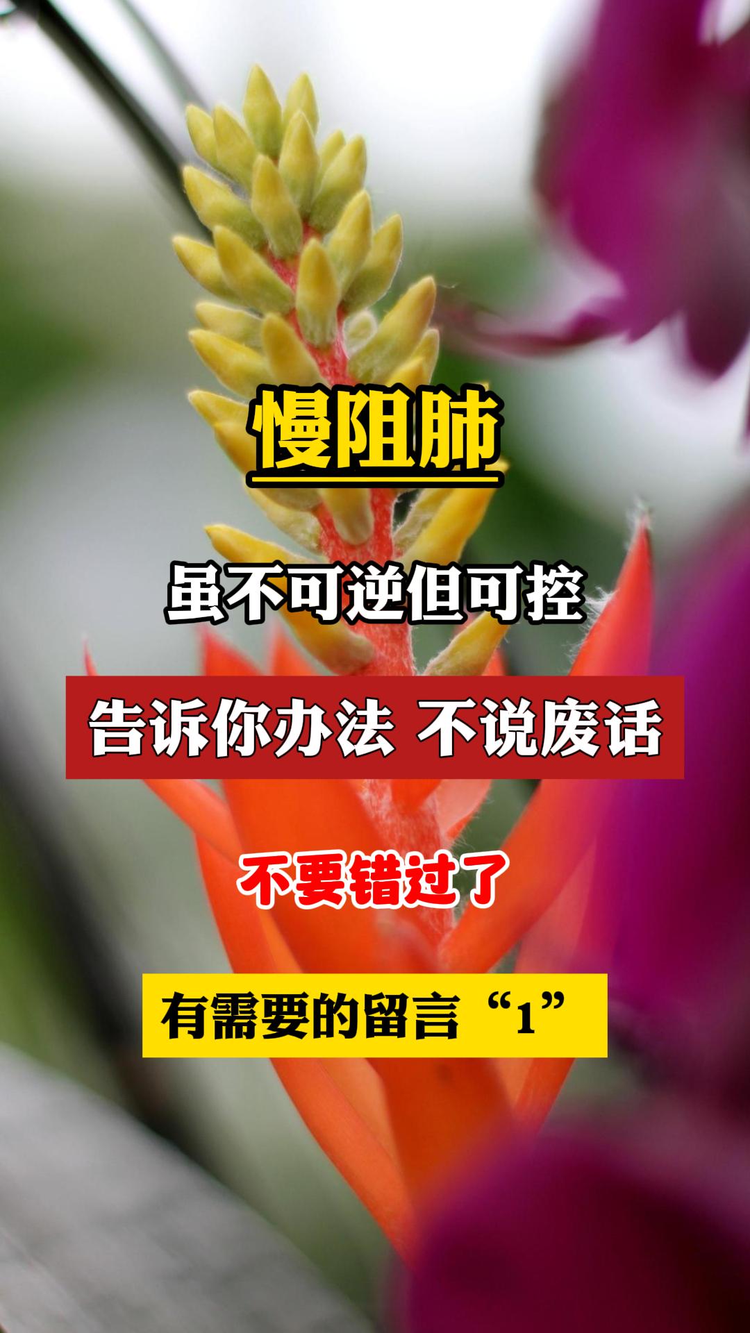慢阻肺 科普一下