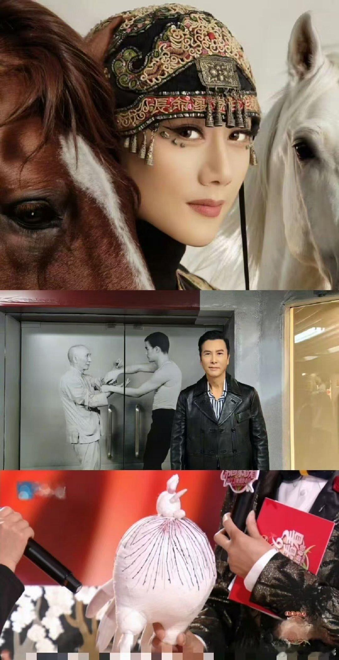 杨丽萍甄子丹争相收藏一只鸡 浙江卫视银龄春晚不是珠宝不是名画，一只布做的鸡，凭实