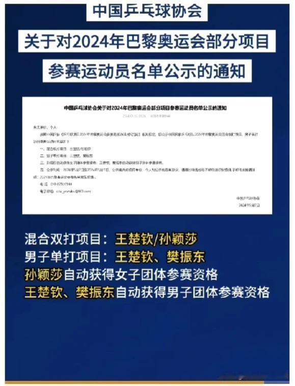 中国乒协的做法值得排协相仿
       中国乒乓球队人才济济，几乎所有国家队队
