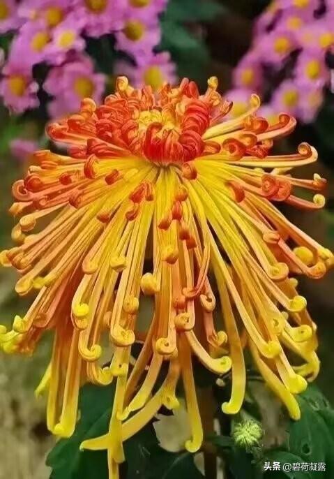 从容达观一些，轻松自在一些，豁达随意一些，凡事当有度，做人应知足，追求完满的人生