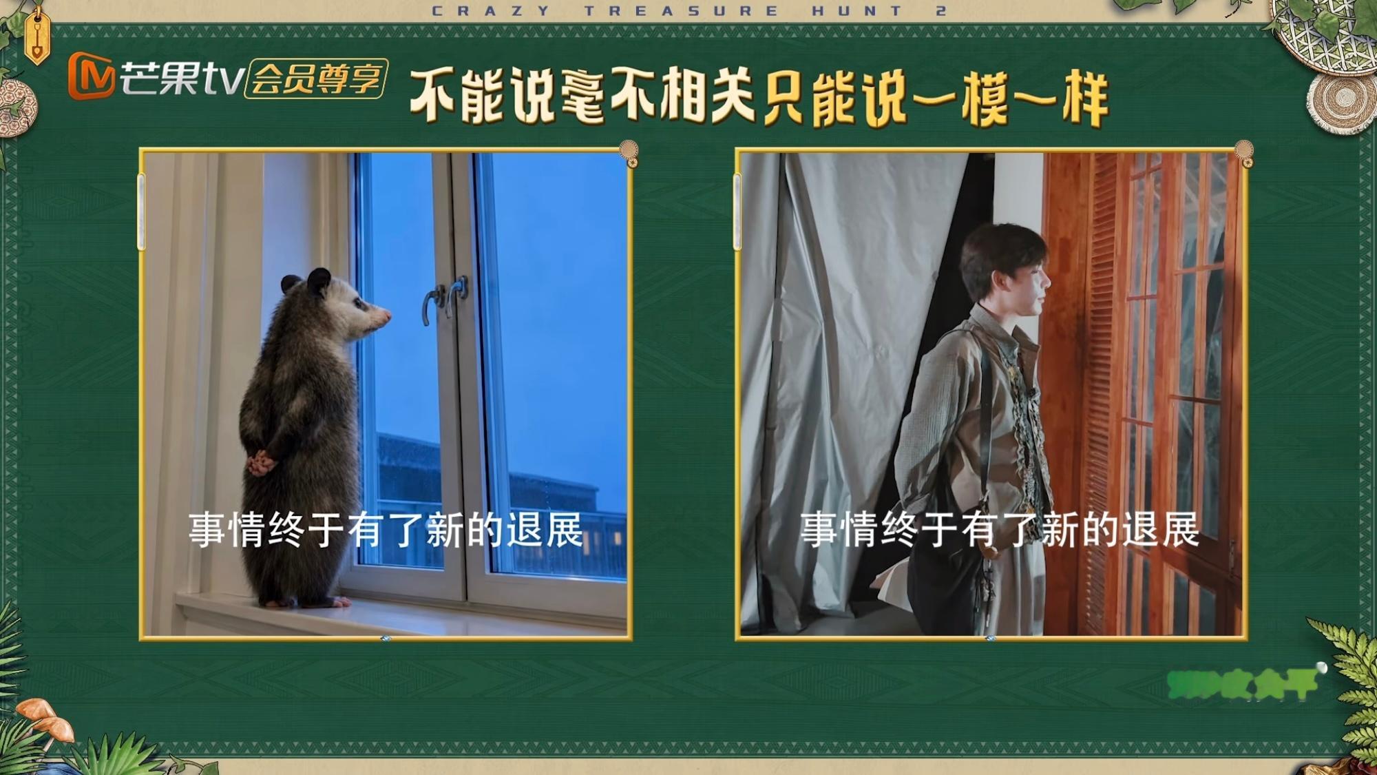 小田说安宇这样像负鼠此为一笑 安宇不懂什么是负鼠此为二笑 没网搜索只能口头解释负