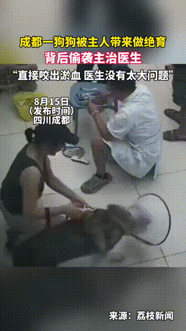 “有仇当场就报了！”四川成都，一女子带狗狗到医院做绝育，结果在抽血体检时，狗子突