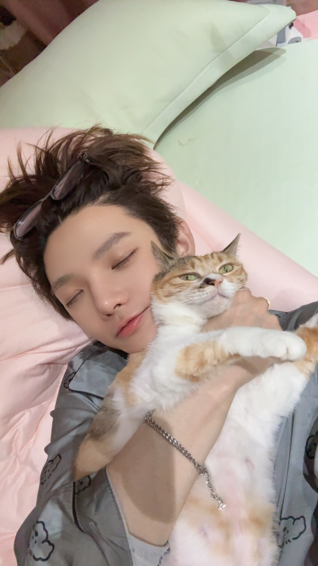 我一辈子离不开我家的猫 我是猫宝b 