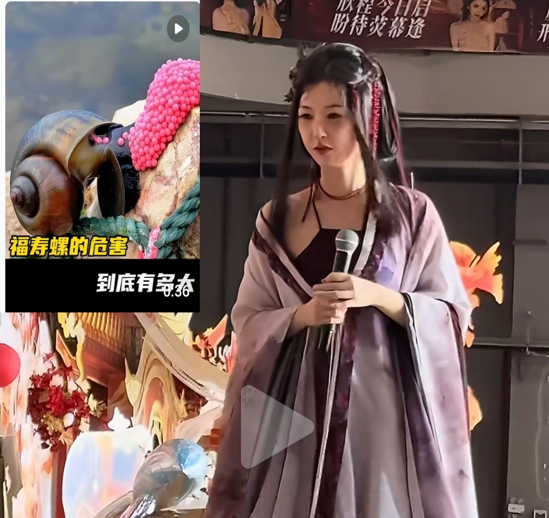 恭喜腥腥子首次挑战蚌精角色就拿下了集均1400的好成绩难怪第二次非要蹭集均700