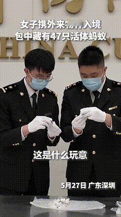 看完这个视频，我心里很有感触。5月27日，深圳皇岗海关查获一名旅客，其包内藏了4