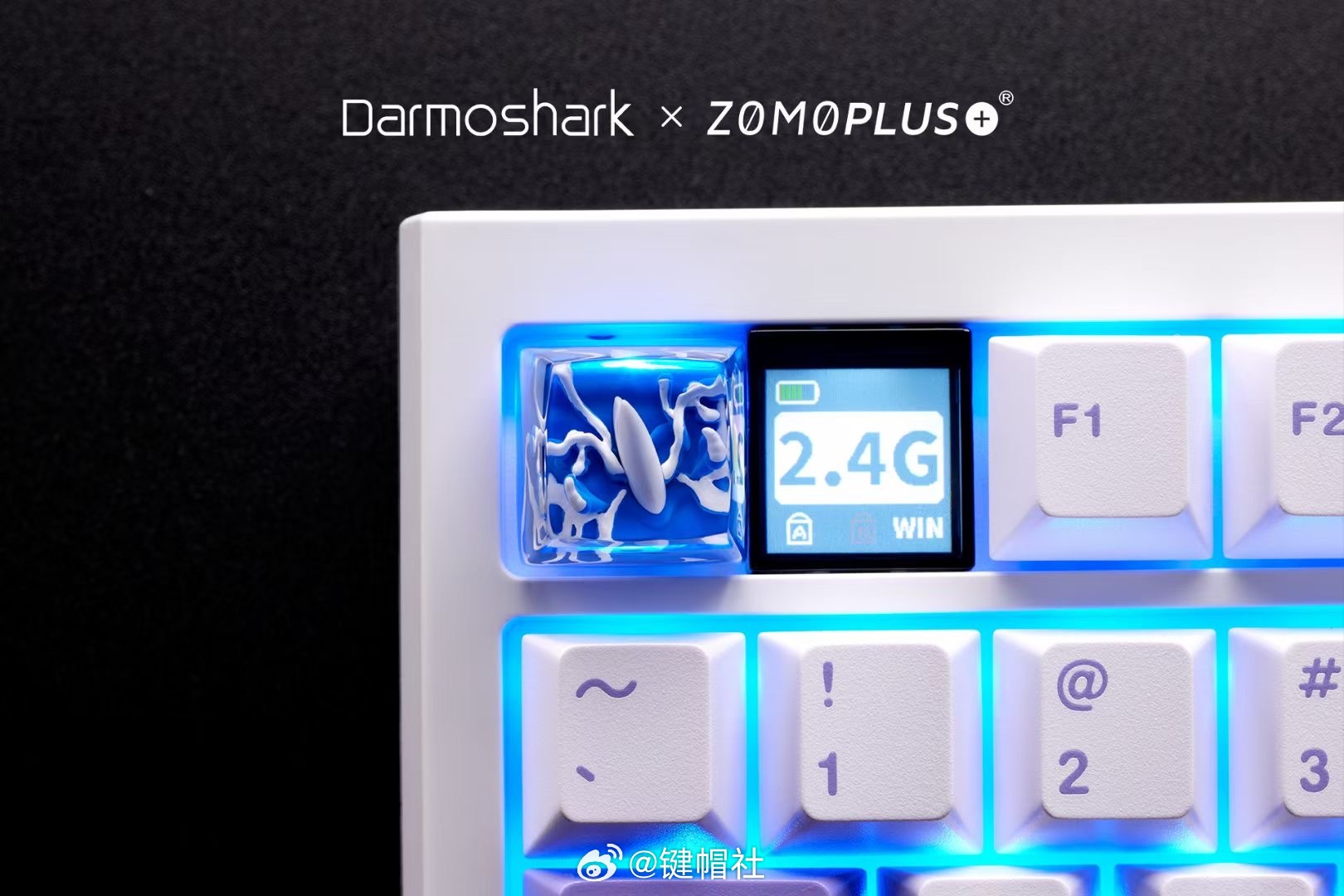 Darmoshark达摩鲨 x ZOMO全新联名键帽 