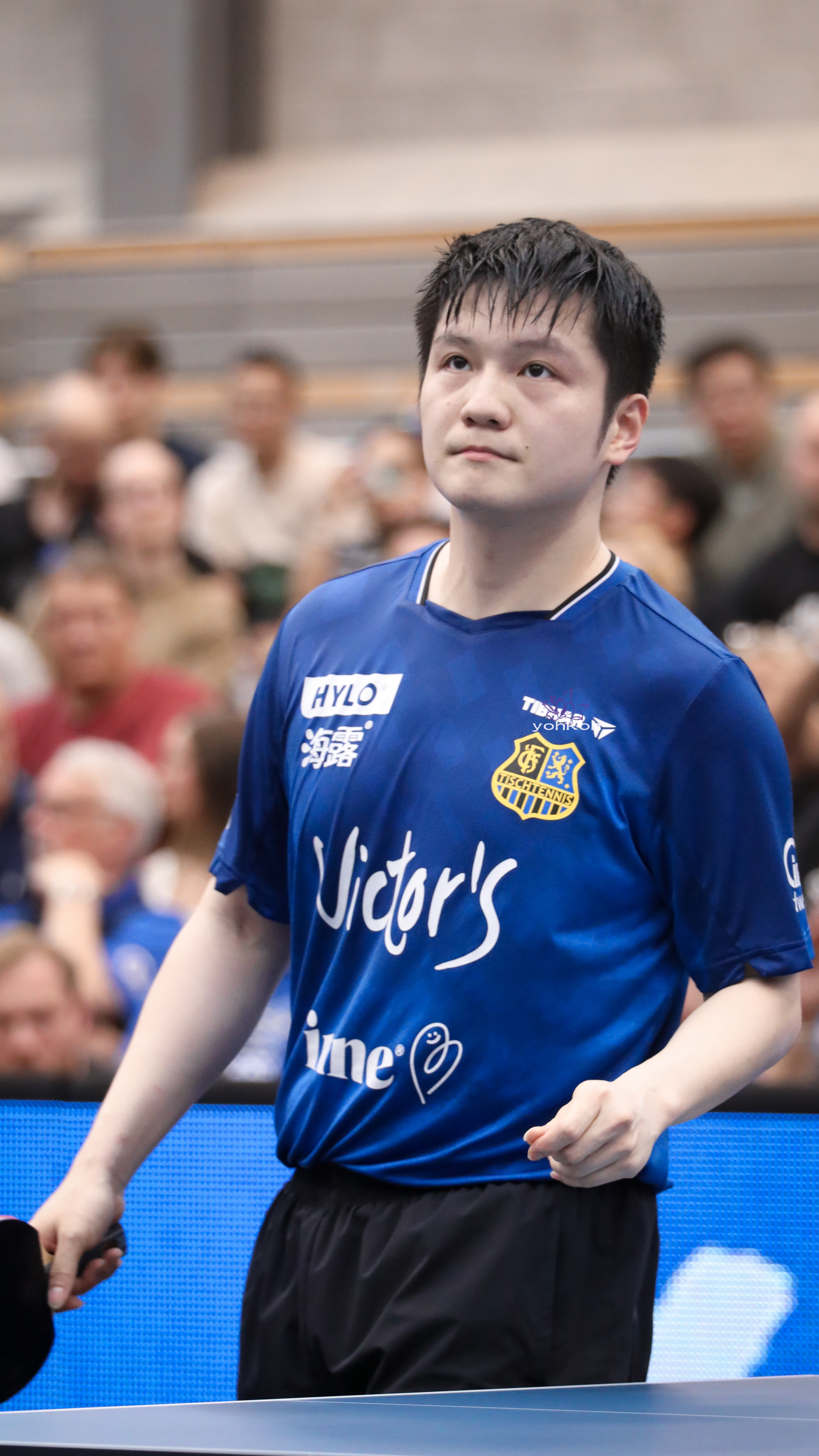 樊振东樊振东德甲 万物变更 唯爱永恒「20250831德甲乒乓球联赛」 