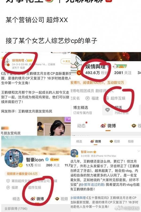 沈月盛世绿茶