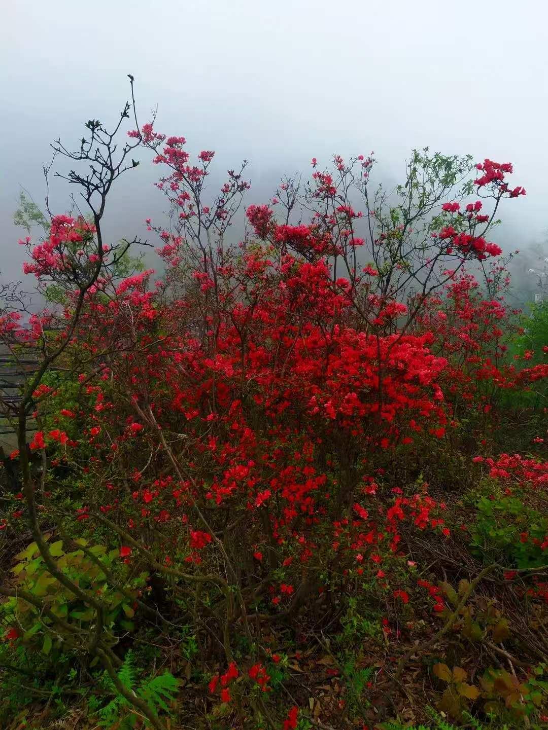 为什么要看破不说破?看破是清醒与通透，看清了人心复杂、世事无常，明白很多事不必较