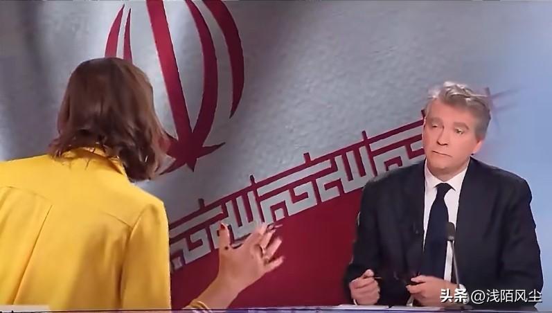 法国前经济部长:“看看特朗普所领导的美国政府，他们不仅利用关税敲诈我们，强迫我们