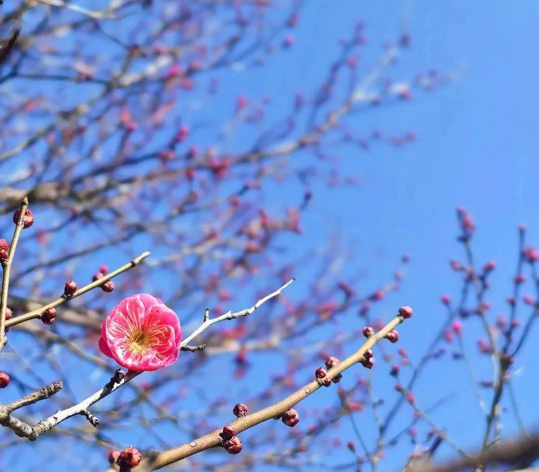 有一个奇怪的现象：不管儿子买了多好多大的房子，父母去了，也多半是住最差的一间，哪