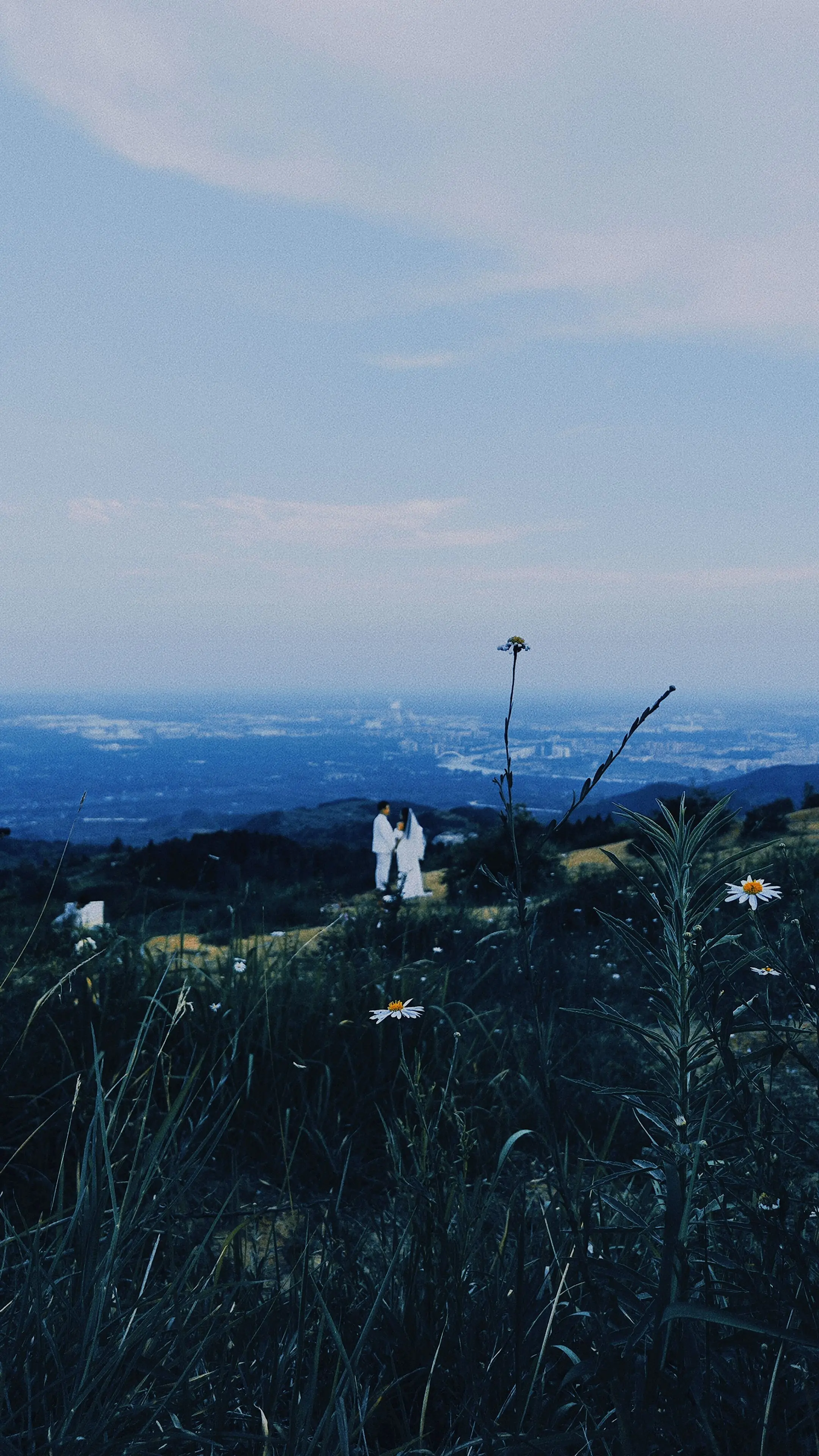 在世界末日的夜晚做什么
