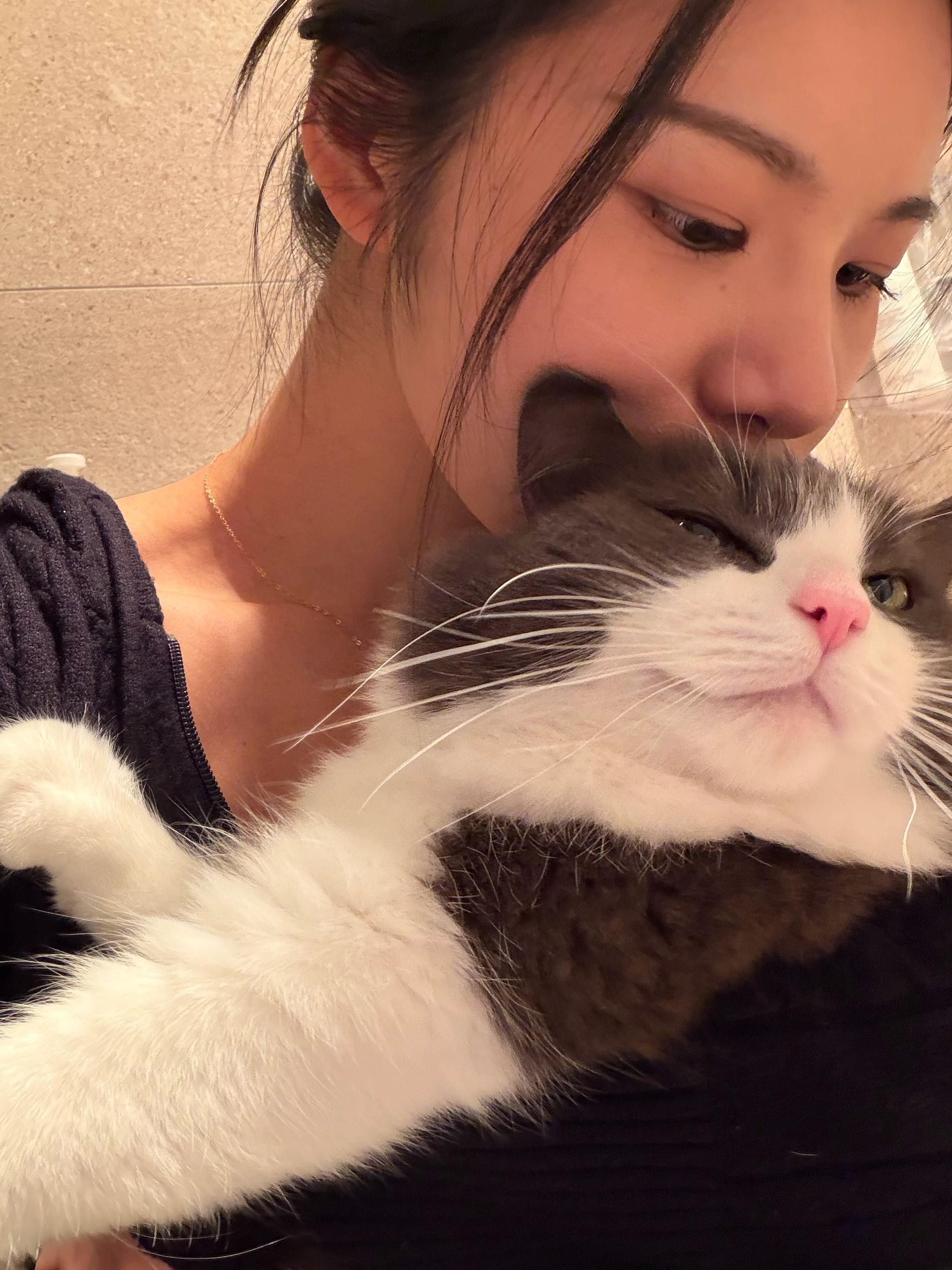 吸吸漂亮小猫 