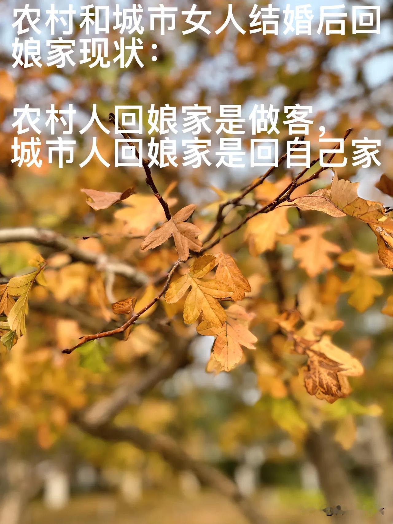 不知道大家发现没，结婚后的女人，只有城市独生子女的娘家即使在出嫁后再回来依旧是自