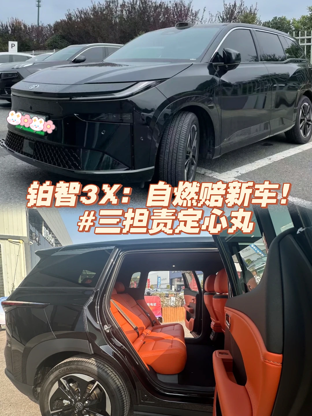 铂智3X：自燃赔新车！