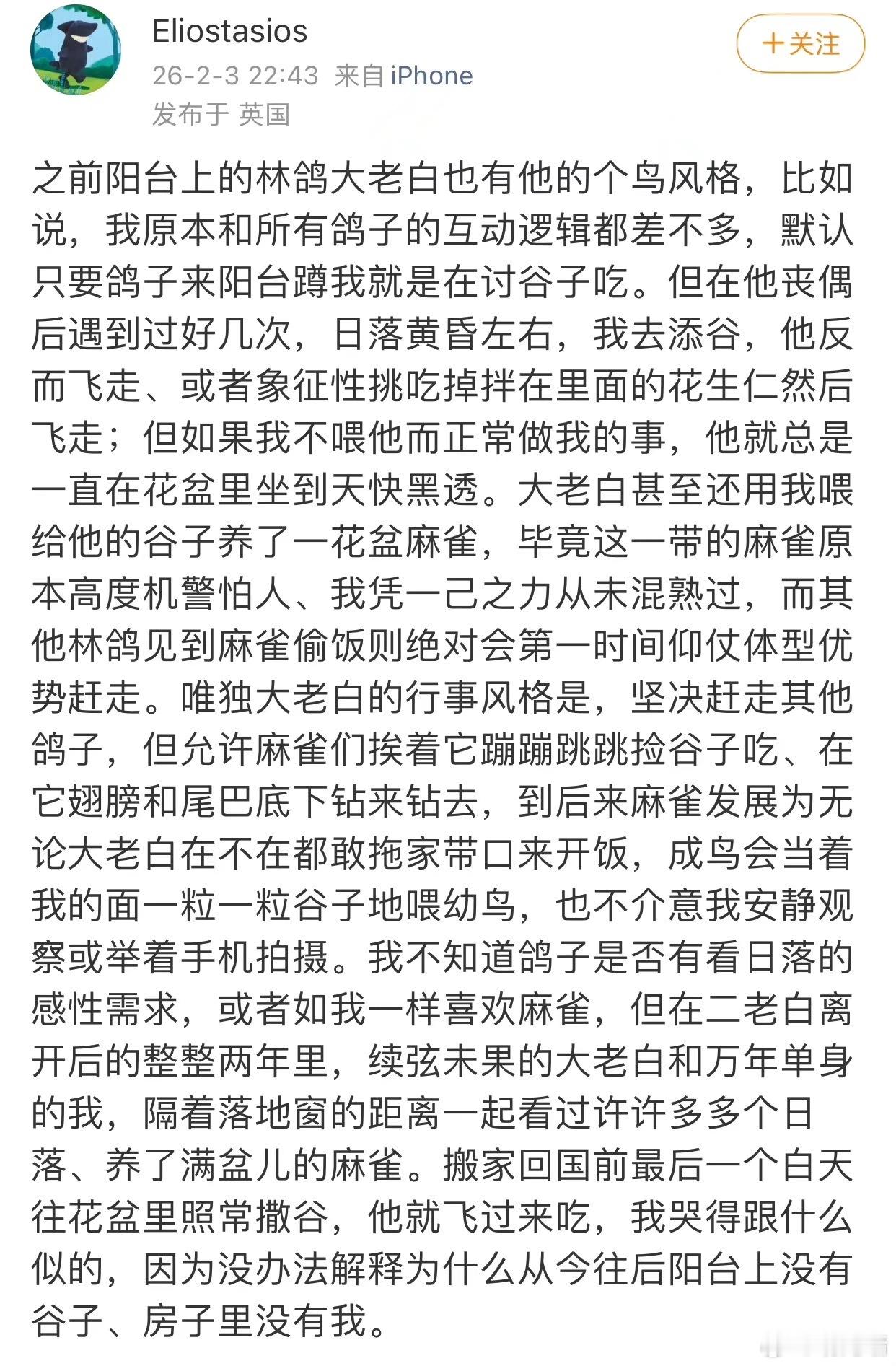 鸦在跟人续火花 