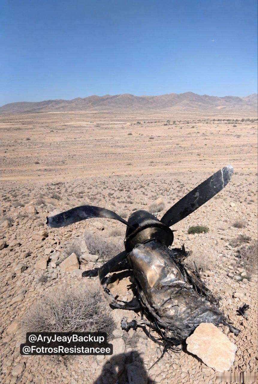 伊朗革命卫队又双叒叕击落了一架美国 MQ-9 Reaper 大型高空长航时察打一