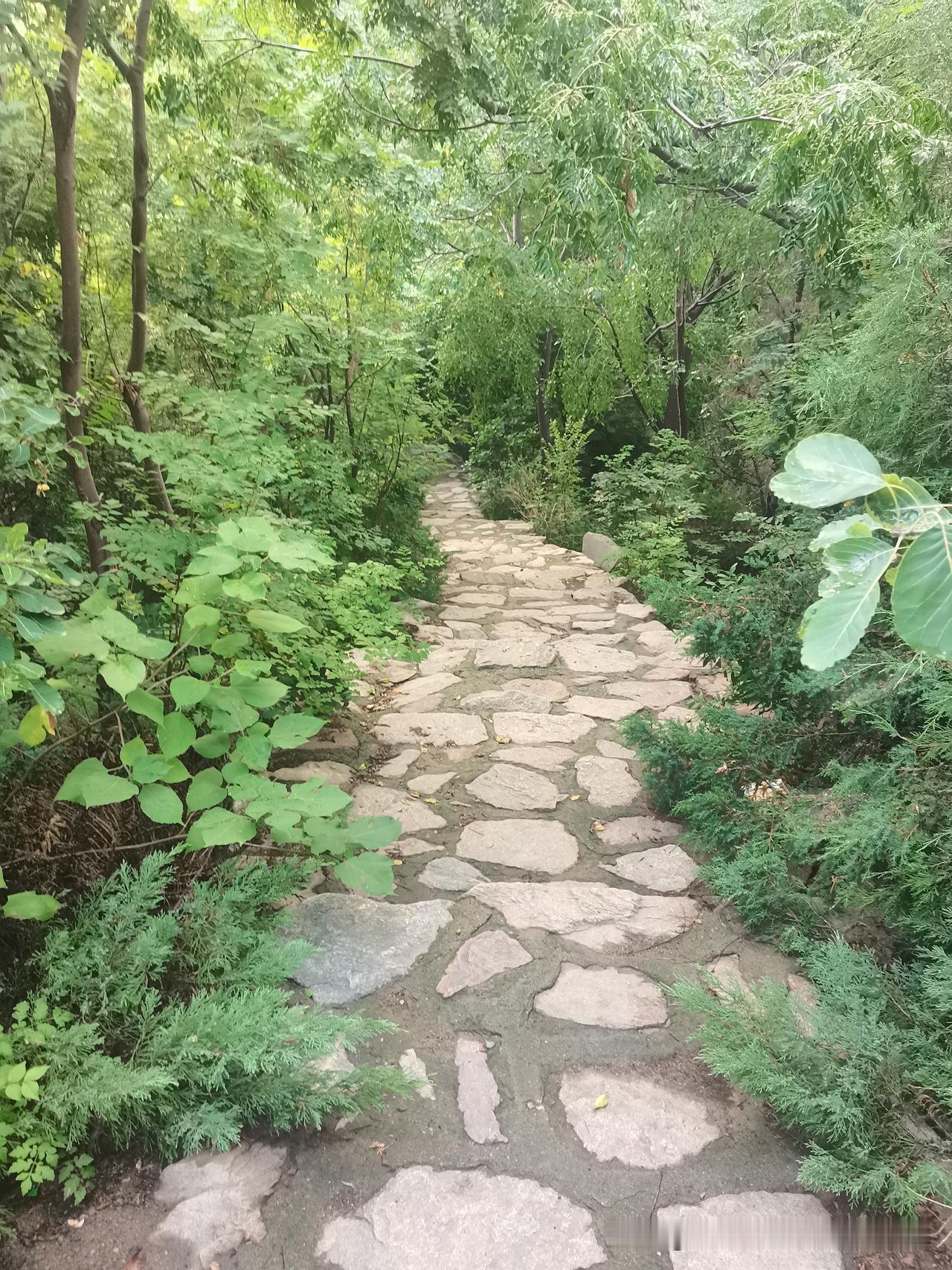 夏日生活打卡季