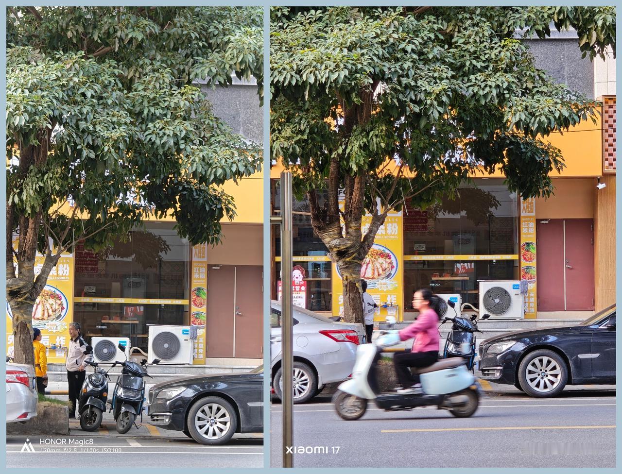 给大家看一组实拍样张，荣耀 Magic8 Vs“橙17”在 5×、10× 长焦下