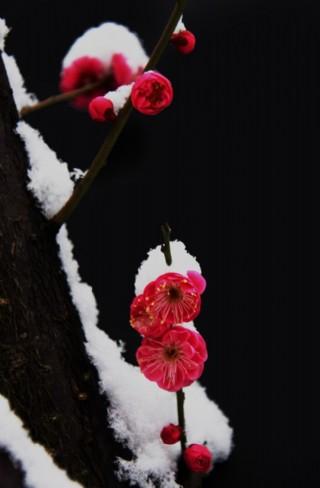 周二午评，周期与科技持续共振，不过快速轮动的格局依旧未改！
周二上午，大A延续高