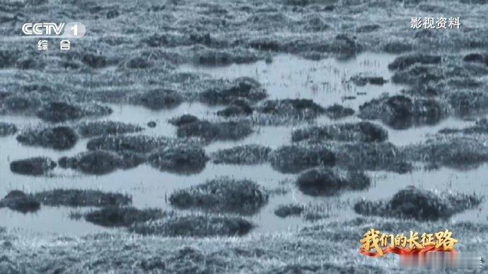 红军沉入沼泽前最后一句话听哭 红军吃皮带充饥笑称是牛肉 1935年8月红军闯过凶