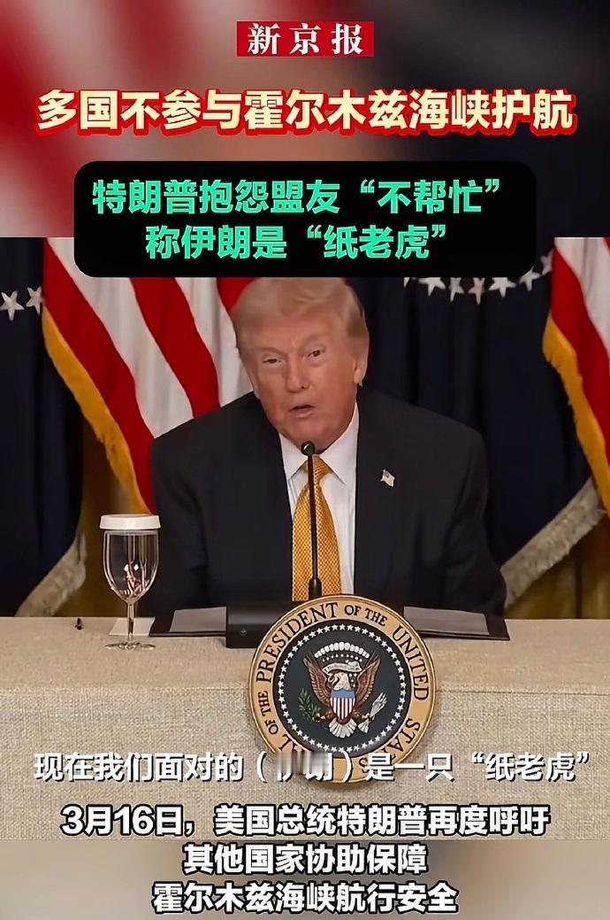 特朗普称：伊朗现在是纸老虎  (Paper Tiger)。有点绷不住了，他真的知