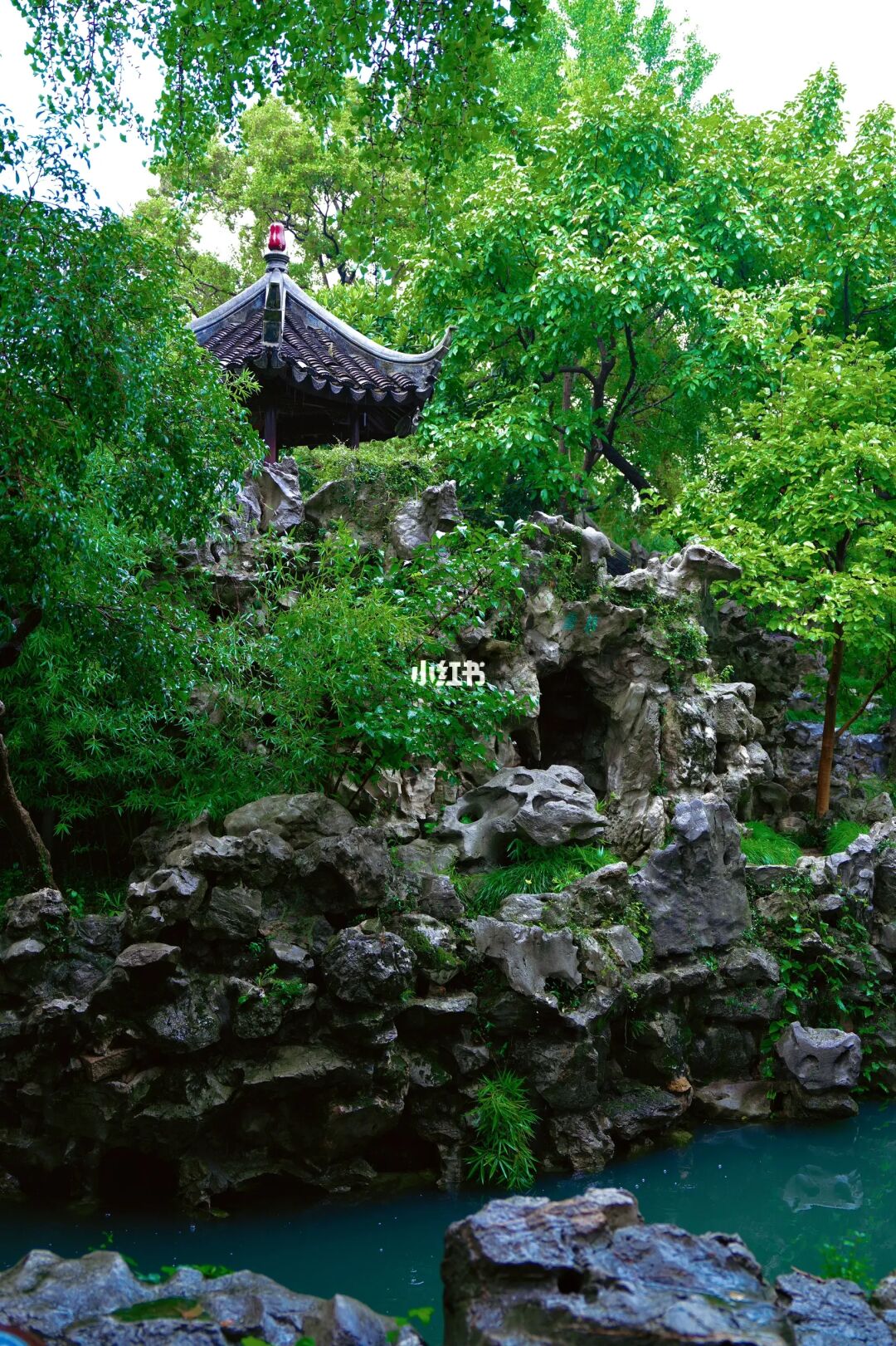太美！怡园的石榴红了！苏州小众园林