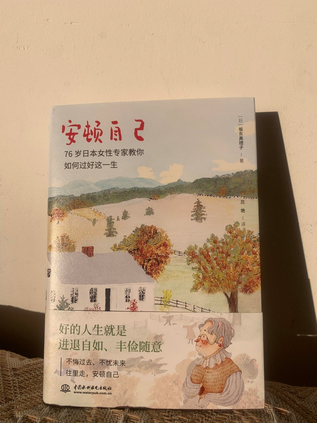 读完《安顿自己》，恰似与一位智者促膝长谈，内心满是宁静与思索。在生活的喧嚣与纷扰