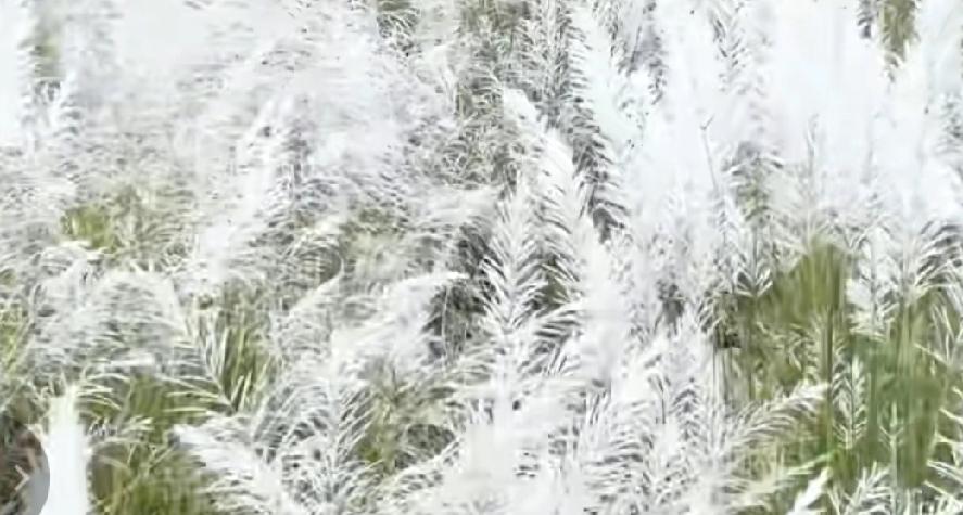 ​​你走后，窗外下起了雨

像是谁把天空捅了一个大窟窿

我望着门前的汪洋

在